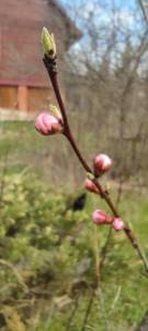 IMG_20250812_180019_435.jpg