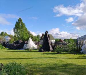IMG_20250813_081259.jpg