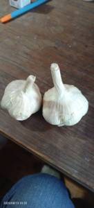 IMG_20250813_101815_854.thumb.jpg.69bb059cecdf2e8e0bc4c19db1346515.jpg