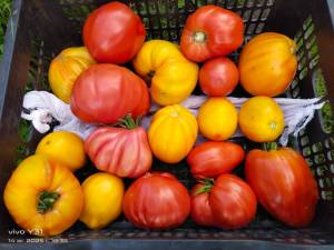 IMG_20250814_183523.thumb.jpg.4a65346edda4c08ab0745b2bec34152e.jpg