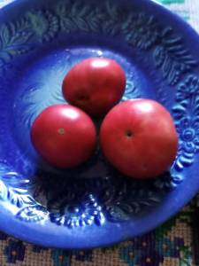 IMG_20250815_130644_343.jpg