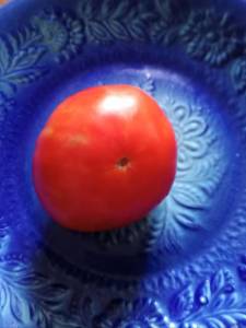 IMG_20250815_130654_328.jpg