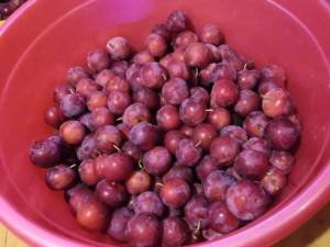 IMG_20250815_201419.thumb.jpg.a7f536a7f7b7be553a92f70bc7107a39.jpg