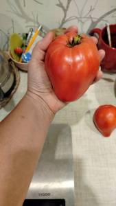 IMG_20250816_202839_189.jpg