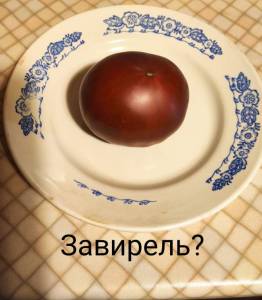 IMG_20250817_103850.jpg