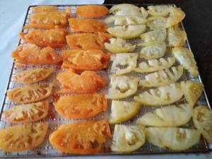 IMG_20250817_112814.thumb.jpg.d409d3c064fc293f22404691caae9b91.jpg
