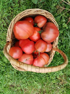 IMG_20250817_171137.thumb.png.1eed7731a5c27f57b1a3b58d62f9ece5.png