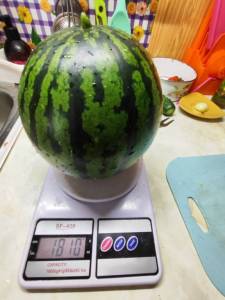 IMG_20250818_160615.thumb.jpg.beefc36414005c76cb9c2b7299a45438.jpg