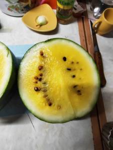 IMG_20250818_160703.thumb.jpg.f58cf6923ae85a855bacc56e50c6097d.jpg