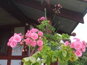 IMG_20250818_185256.thumb.jpg.625bee34510bee65b4ff9c38410b9ede.jpg