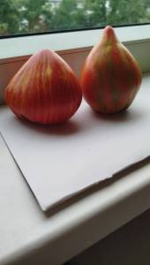 IMG_20250818_194451.jpg