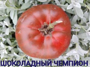 IMG_20250818_210009.thumb.jpg.d990d5f4d5e5f8d3c19fb7fdc7471ae5.jpg