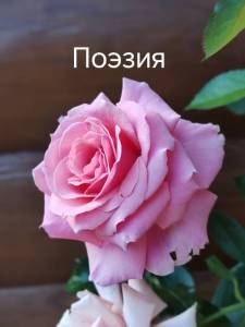 IMG_20250819_072050.jpg