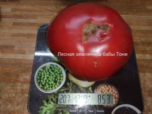 IMG_20250819_114933.thumb.jpg.0bd67b0a827b51be0cd650dd475fed0c.jpg