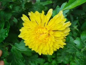 IMG_20250819_153511.jpg