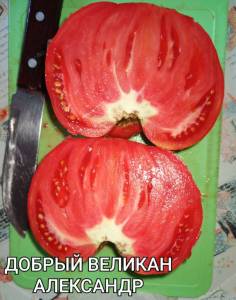 IMG_20250820_011113.thumb.jpg.50a214d84a4dd8457ec0aff36b0ed725.jpg
