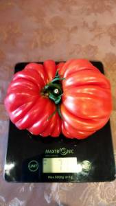 IMG_20250820_081037.thumb.jpg.2c934735672c26ecf8eae9086227bb6f.jpg