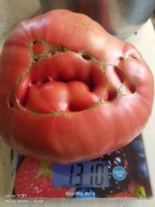 IMG_20250820_144217.thumb.jpg.73b49cf4a67d5c65786629218a00c528.jpg
