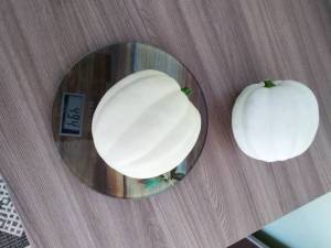 IMG_20250822_083425.jpg