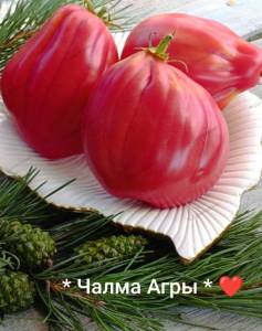 IMG_20250822_102151.jpg