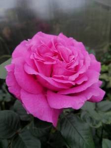 IMG_20250822_200348.jpg