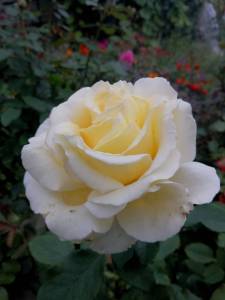 IMG_20250822_200548.jpg