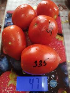 IMG_20250824_155354.thumb.jpg.64009f2275f04aa7c7e3cf3444f8840e.jpg