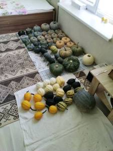 IMG_20250827_113125.jpg