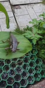 IMG_20250830_162936.jpg