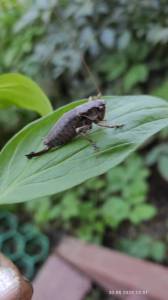 IMG_20250830_163055.jpg