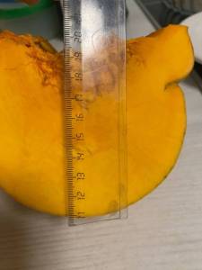 IMG_3248.jpeg