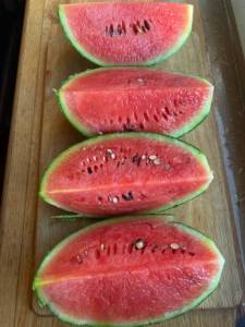 IMG_4109.jpeg