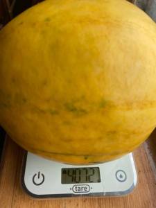 IMG_4154.thumb.jpeg.0a6c83a7f662c1a0ea73cb89e5a65bf6.jpeg