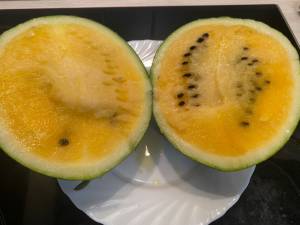 IMG_4230.thumb.jpeg.f1107cd847d89af424c55d2850c42a44.jpeg