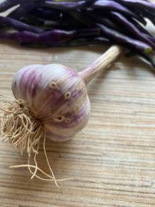 IMG_4294.jpeg