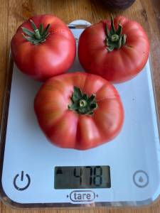 IMG_4319.jpeg