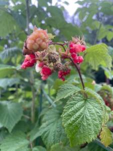 IMG_6106.jpeg