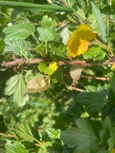 IMG_6267.jpeg