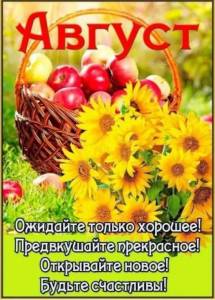 IMG_6408.jpeg
