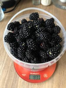 IMG_8060.jpeg