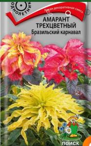 IMG_8108.jpeg