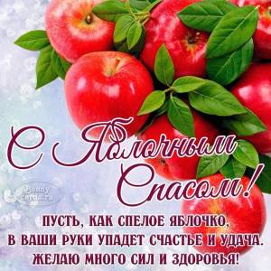 IMG_8130.jpeg
