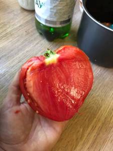 IMG_8157.jpeg