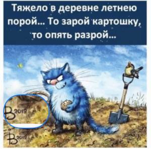 IMG_8297.jpeg