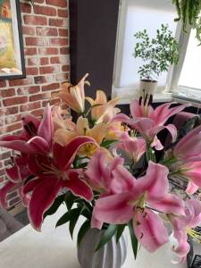 IMG_9202.jpeg