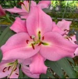 IMG_9538.jpeg
