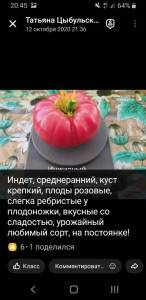 Screenshot_20250824-204549_OK.jpg