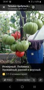 Screenshot_20250824-204720_OK.jpg