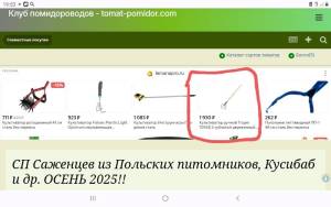 Screenshot_20250826-195326_Opera.jpg