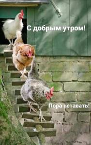 bab57a4567c0e404479f27359cadf232.thumb.jpg.a897d2caef510453009c3151788b9c5a.jpg